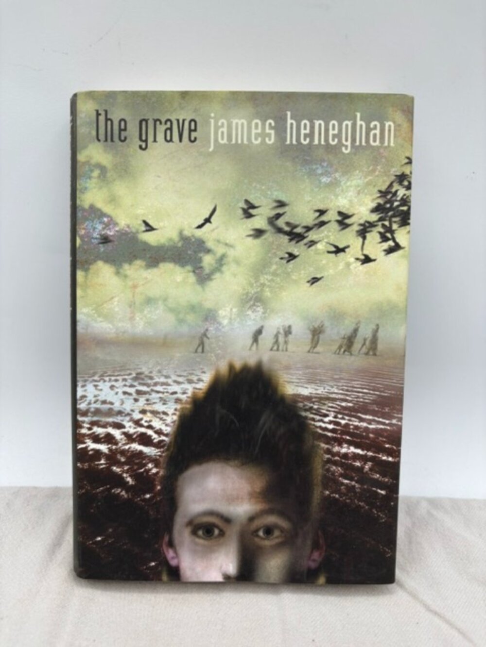 Grave by James Heneghan (2000, Hardcover)